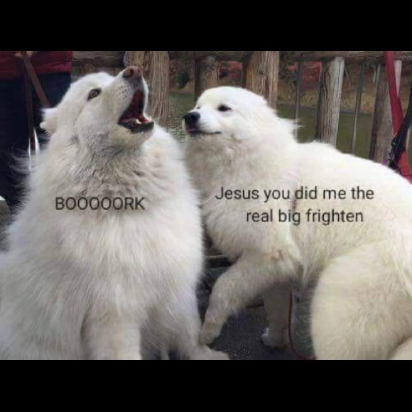 Welcome to my closet! - Picture 4 of 5